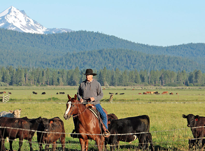 Rock Creek Beef Cattle Ranch